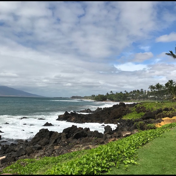 Meet your Posher, Bri - Picture 4 of 5